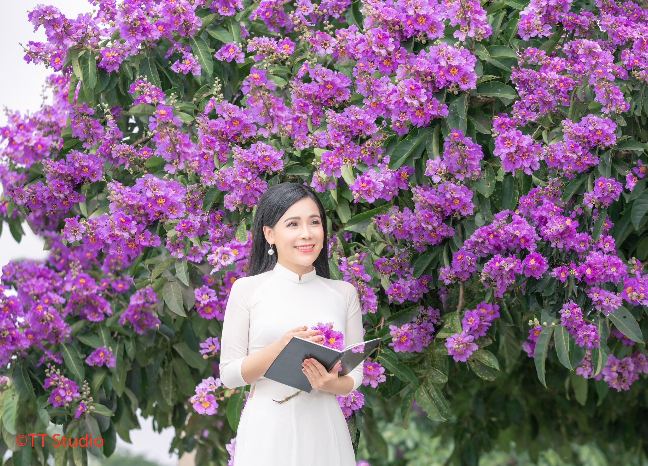Dịch vụ chụp ảnh hoa bằng lăng ở Hà Nội