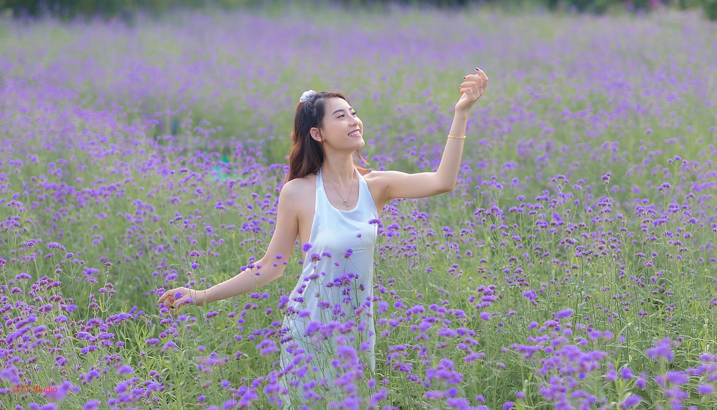 Chụp ảnh hoa lavender thảo nguyên hoa long biên