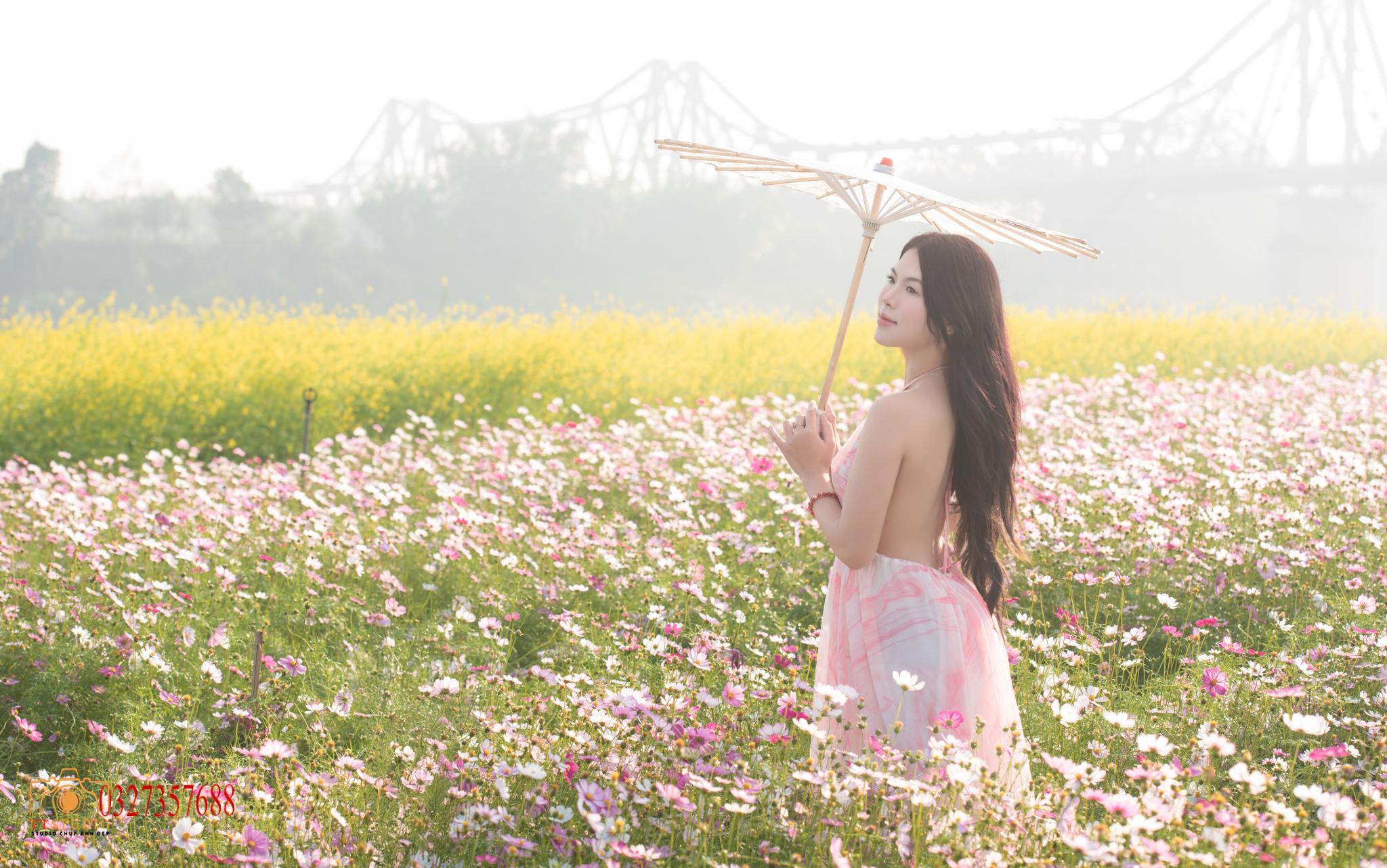 Ảnh hoa cải Cầu Long Biên