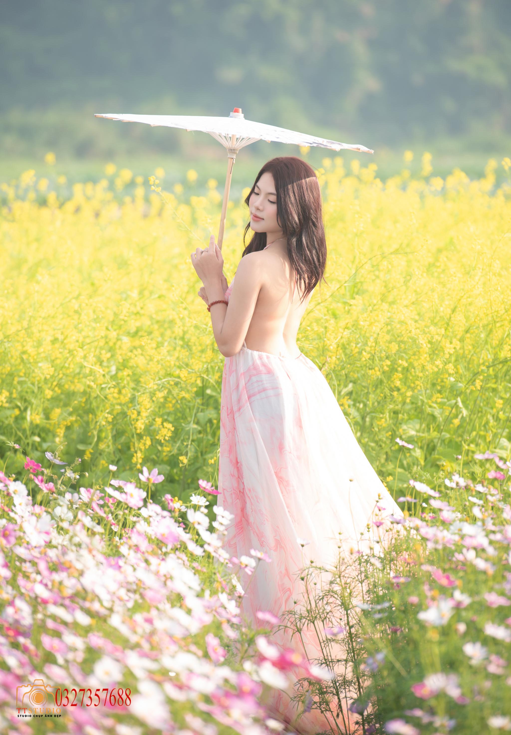 Ảnh hoa cải Cầu Long Biên