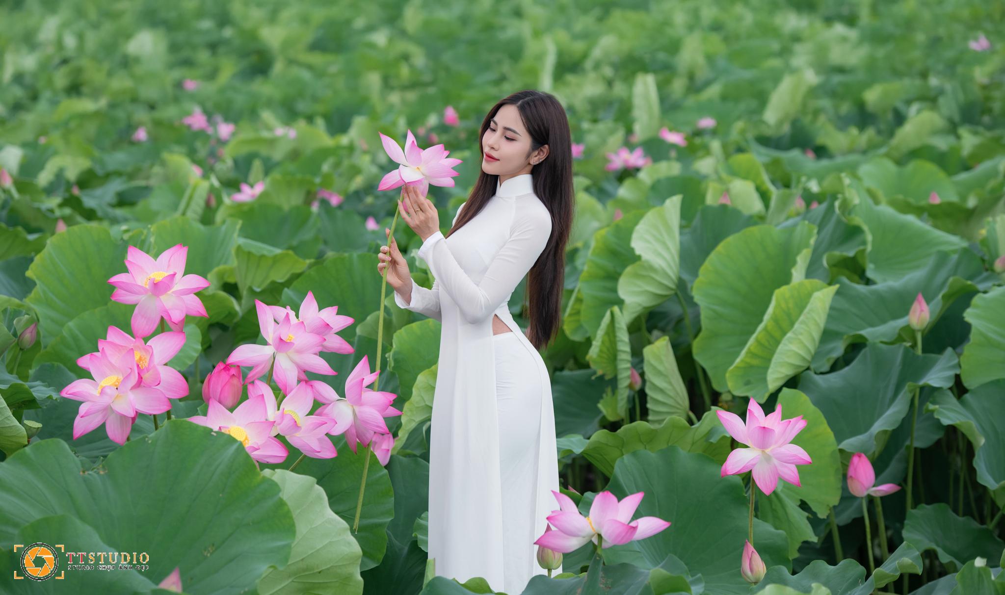 Ảnh sen với áo dài