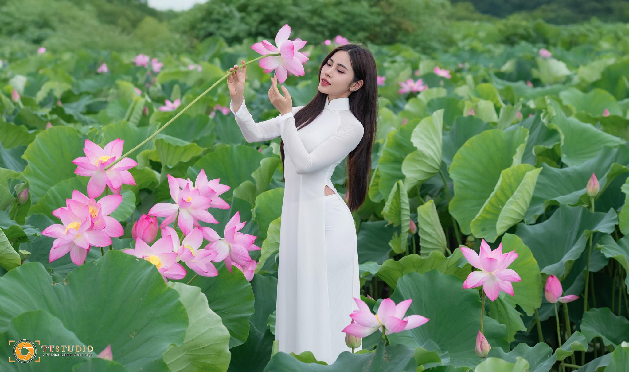 Ảnh sen với áo dài