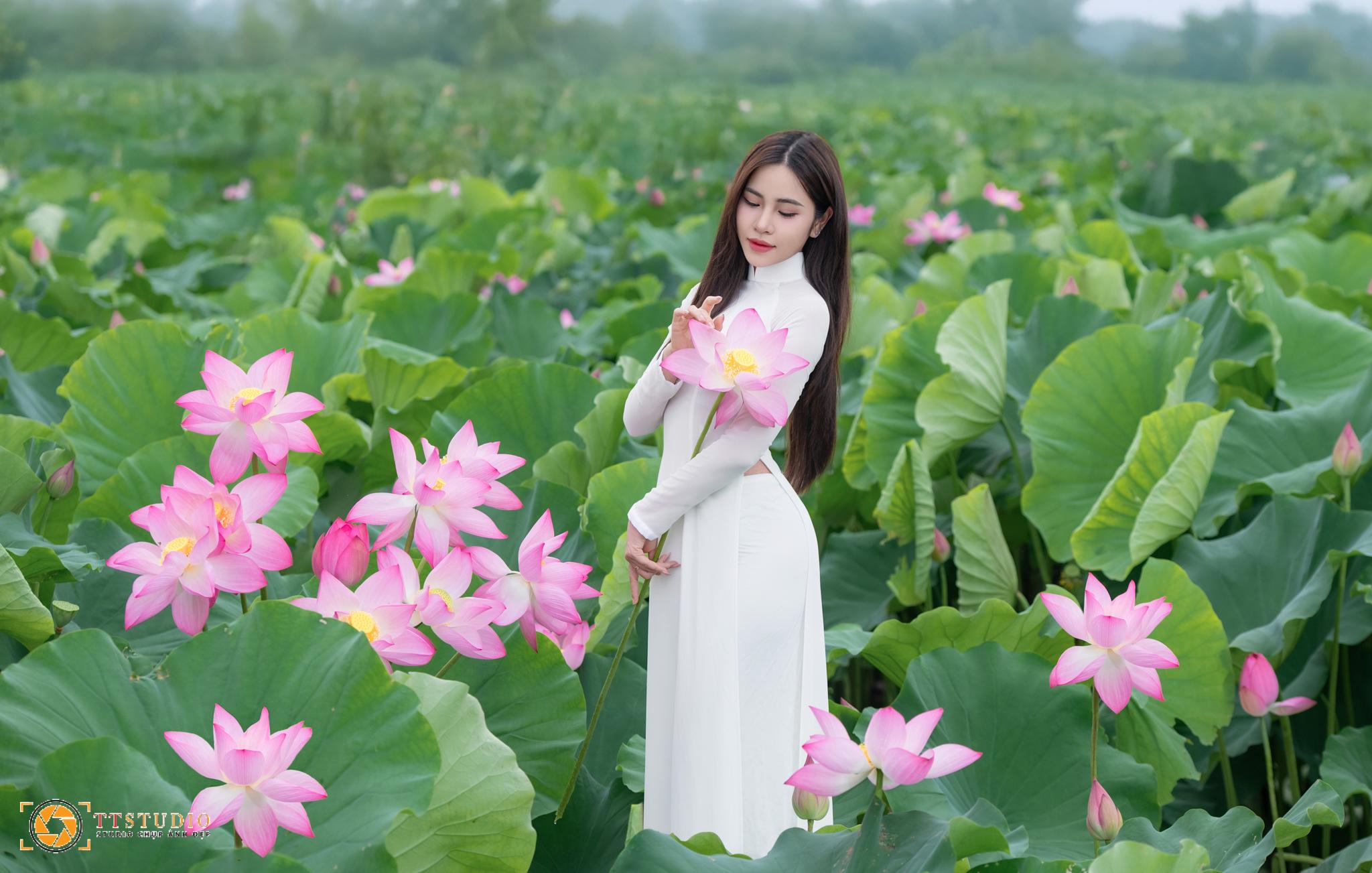 Ảnh sen với áo dài Ảnh sen với áo dài