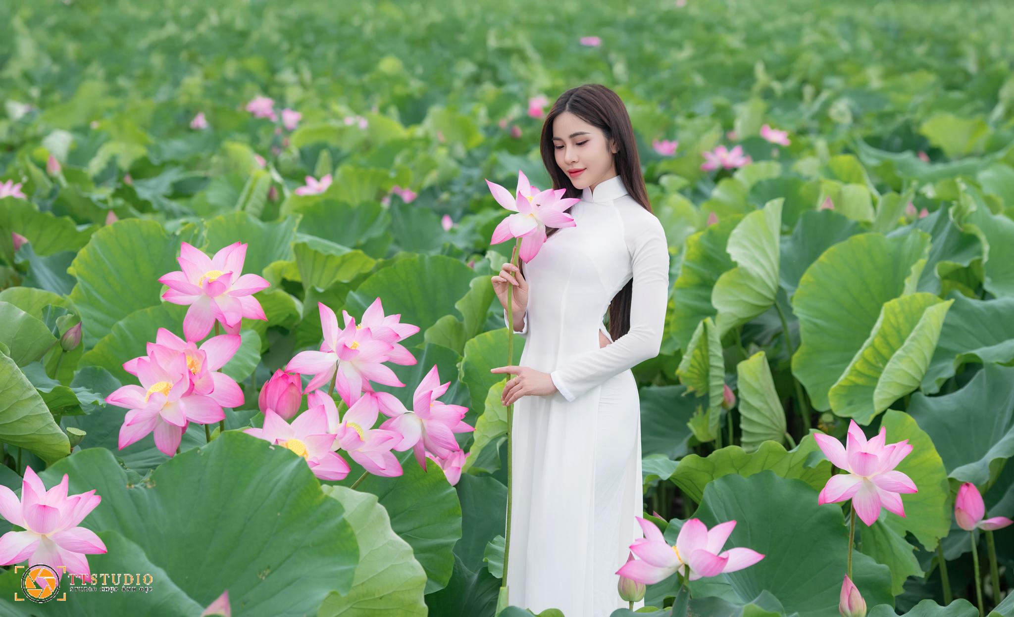 Ảnh sen với áo dài Ảnh sen với áo dài