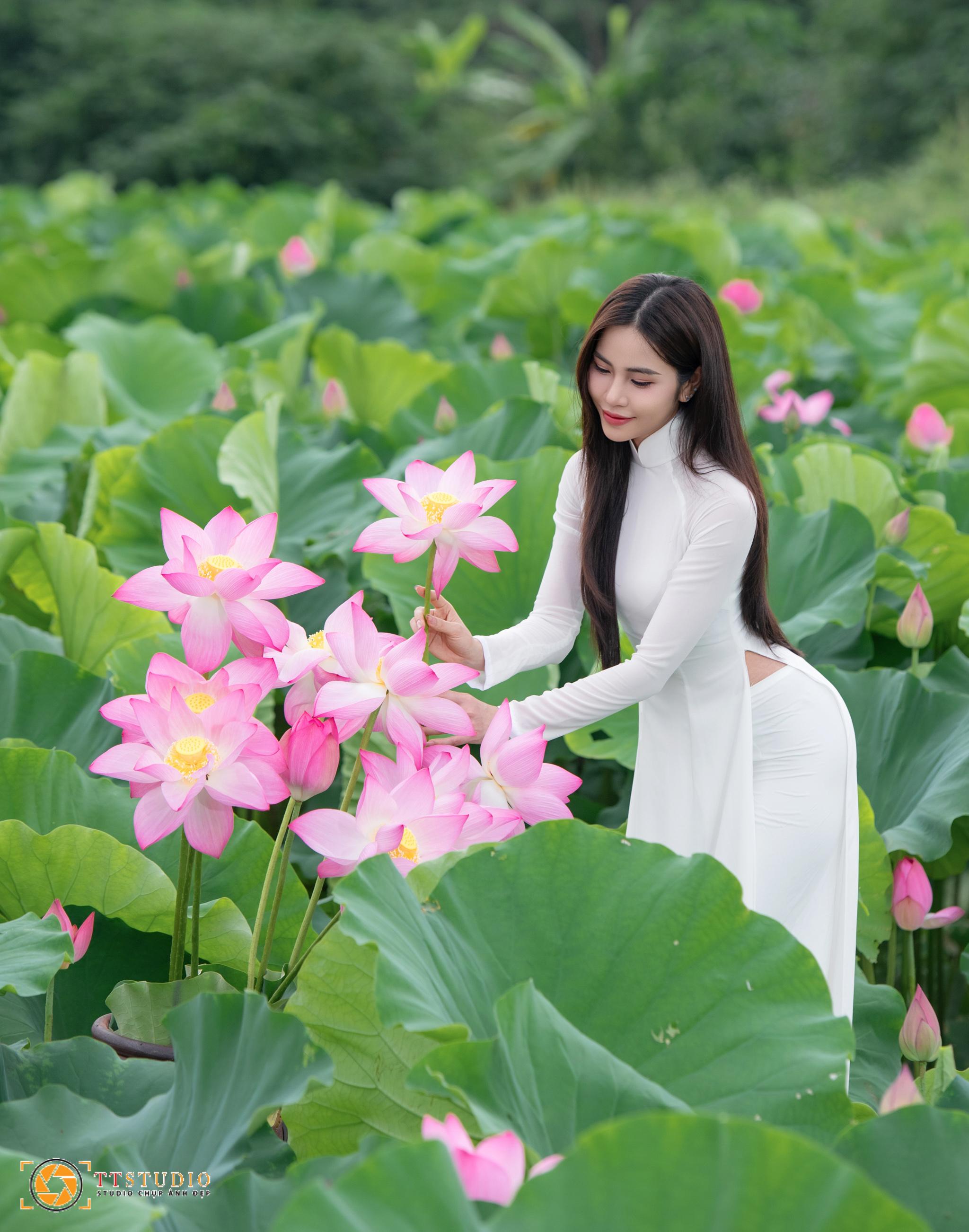 Ảnh sen với áo dài