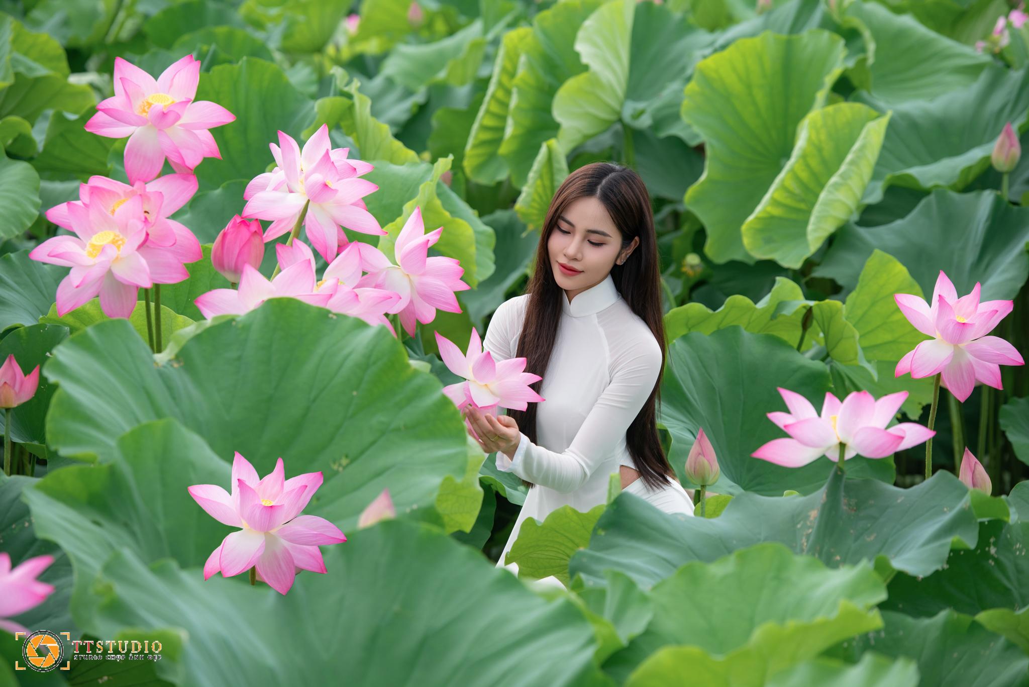 Ảnh sen với áo dài