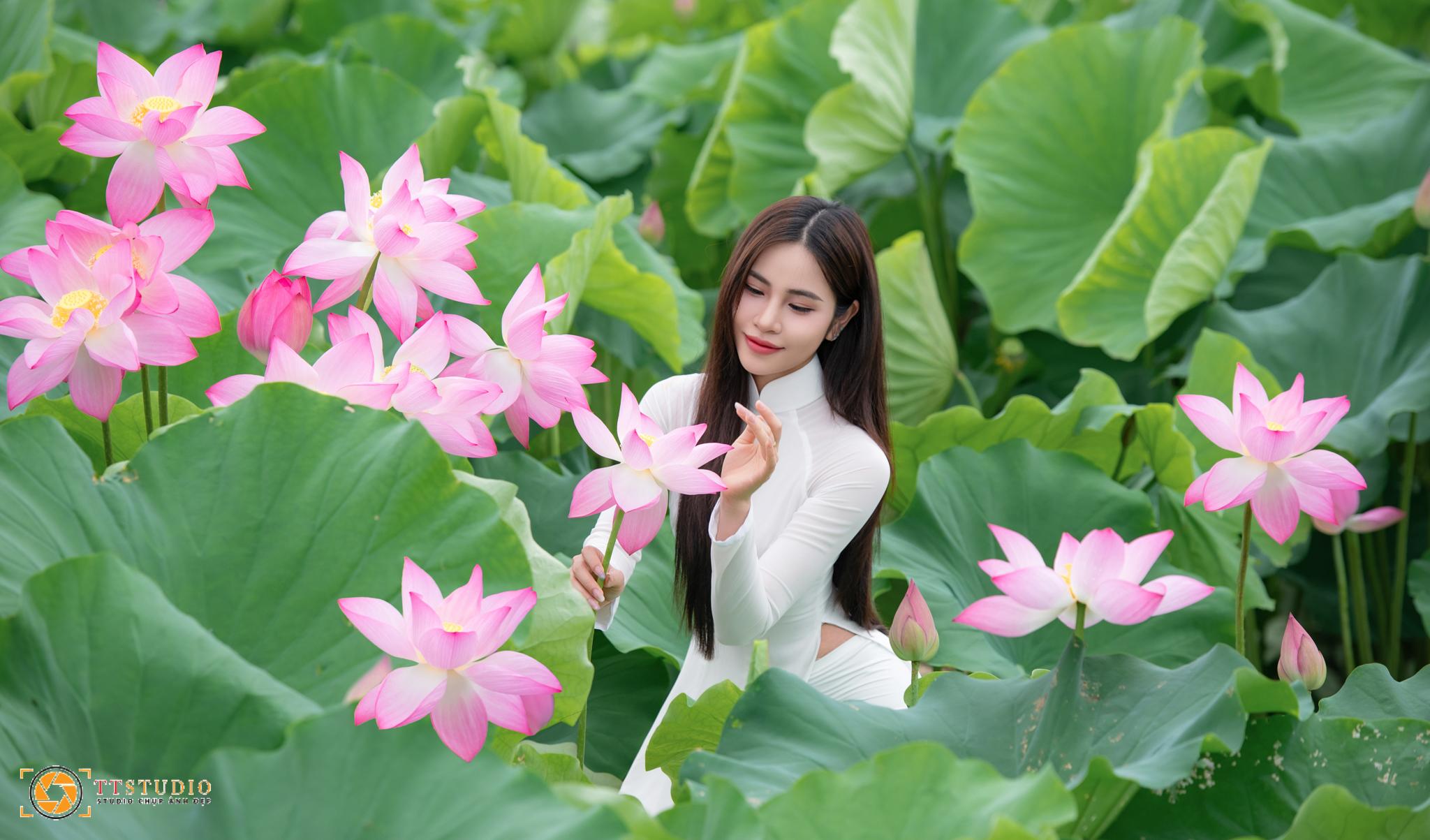Ảnh sen với áo dài