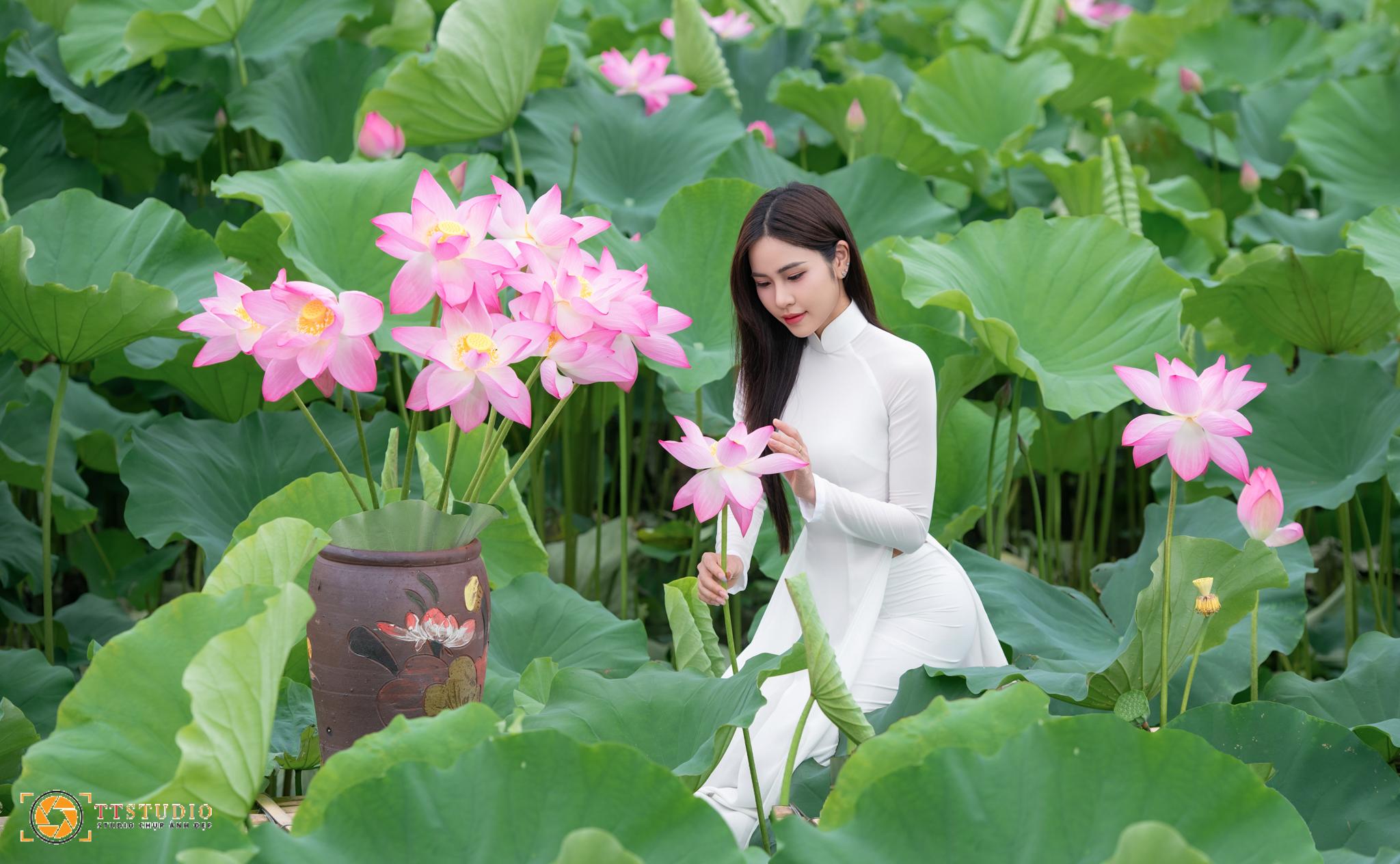 Ảnh sen với áo dài