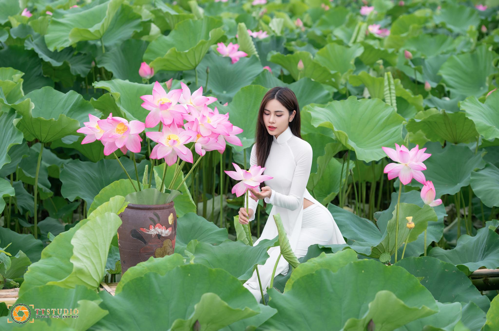 Ảnh sen với áo dài