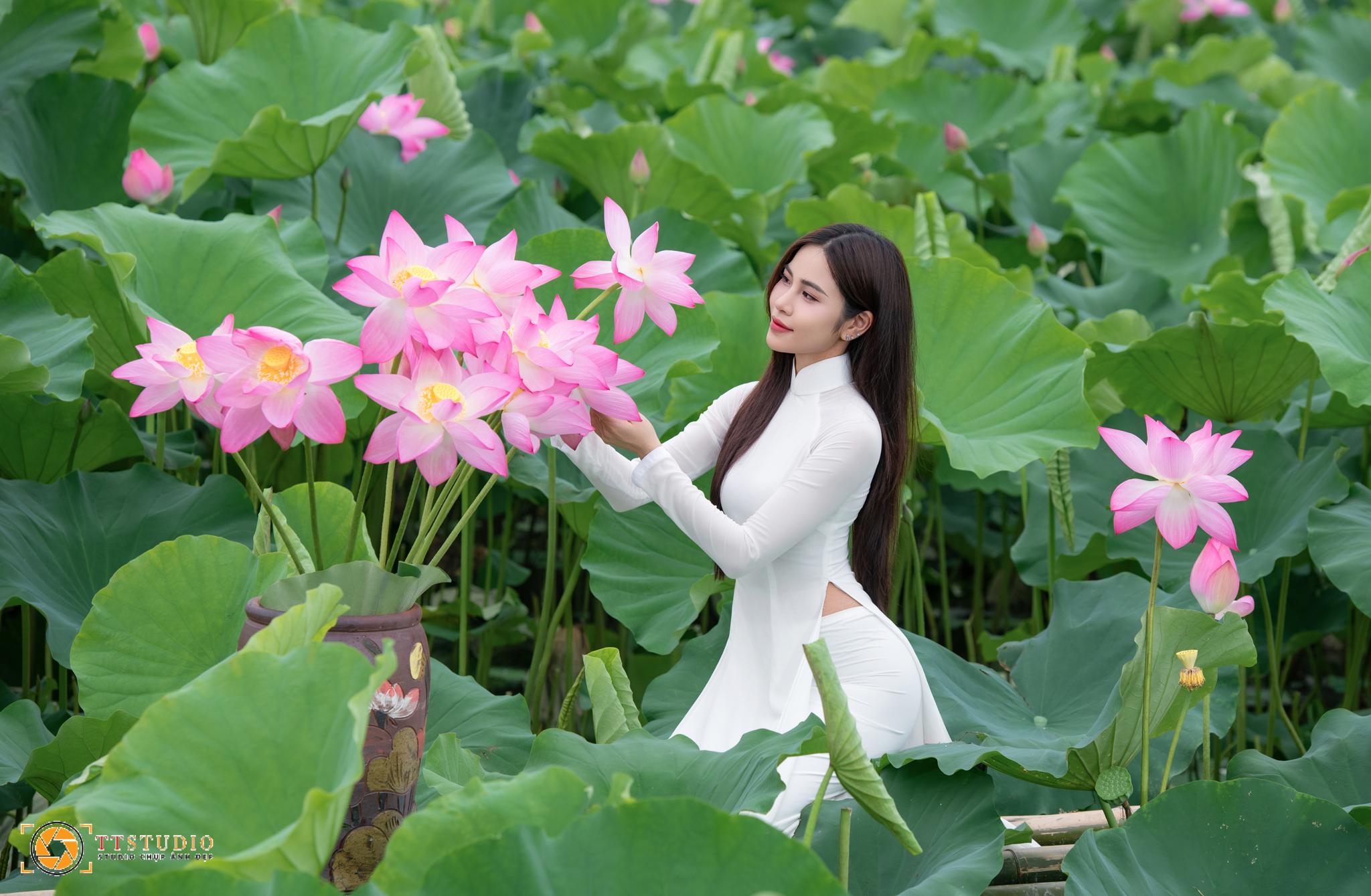 Ảnh sen với áo dài