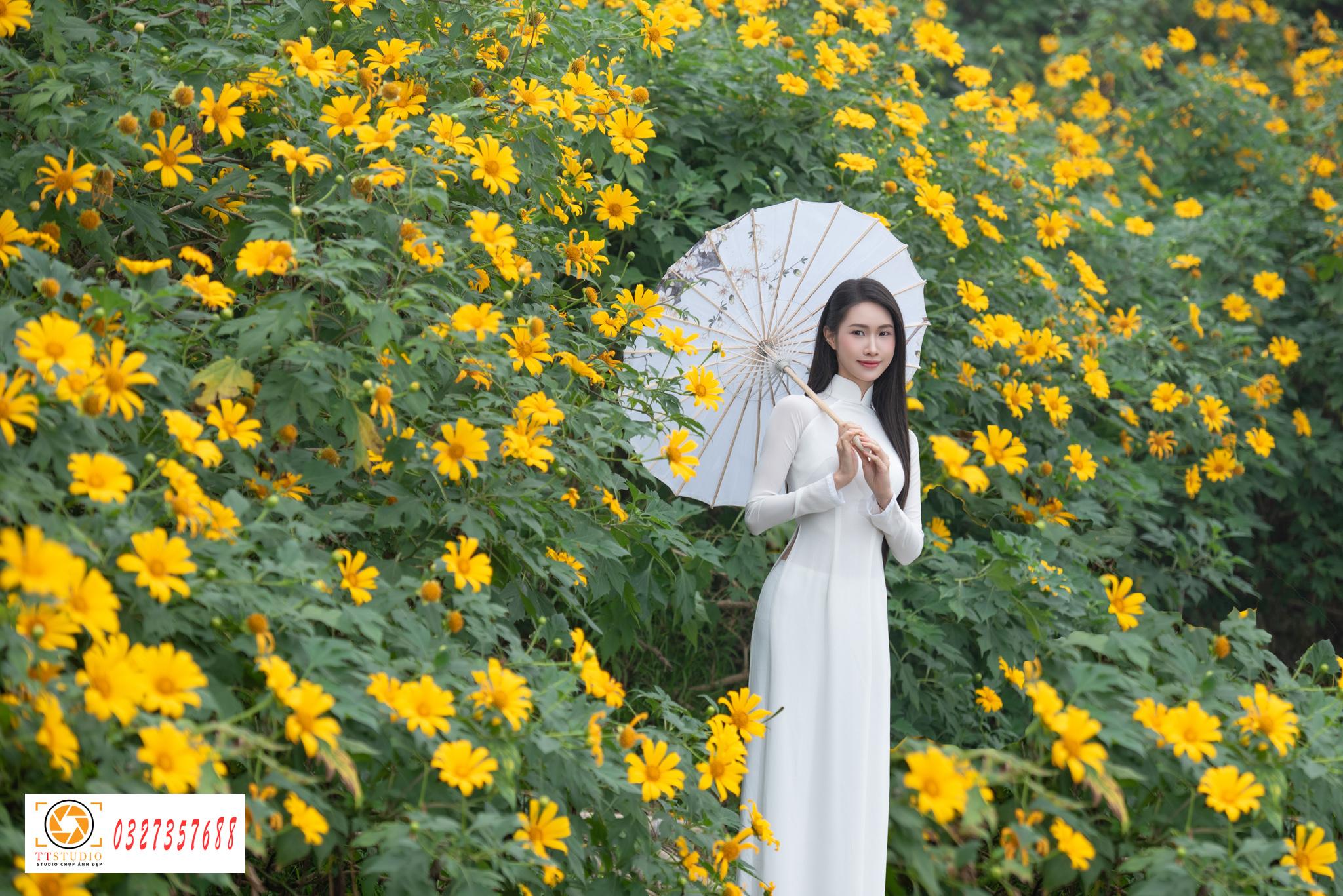 Ảnh áo dài với hoa dã quỳ