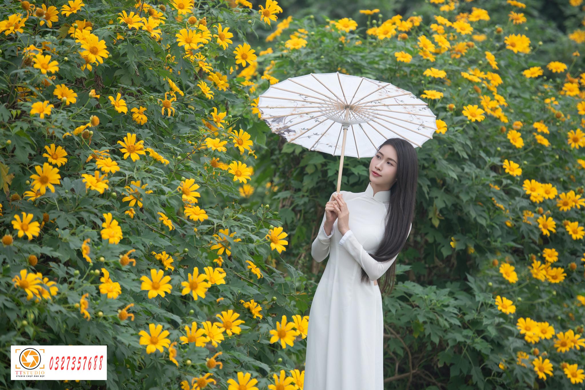 Ảnh áo dài với hoa dã quỳ