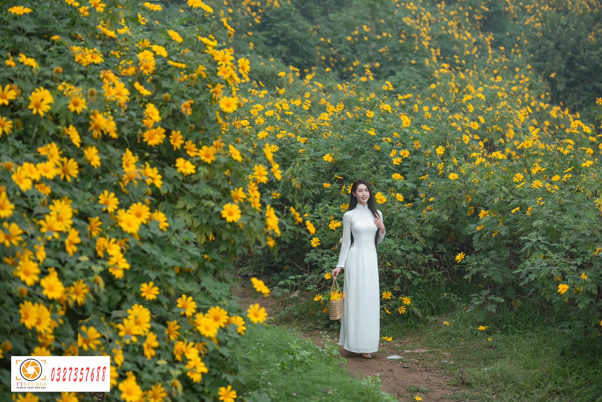 Ảnh áo dài với hoa dã quỳ