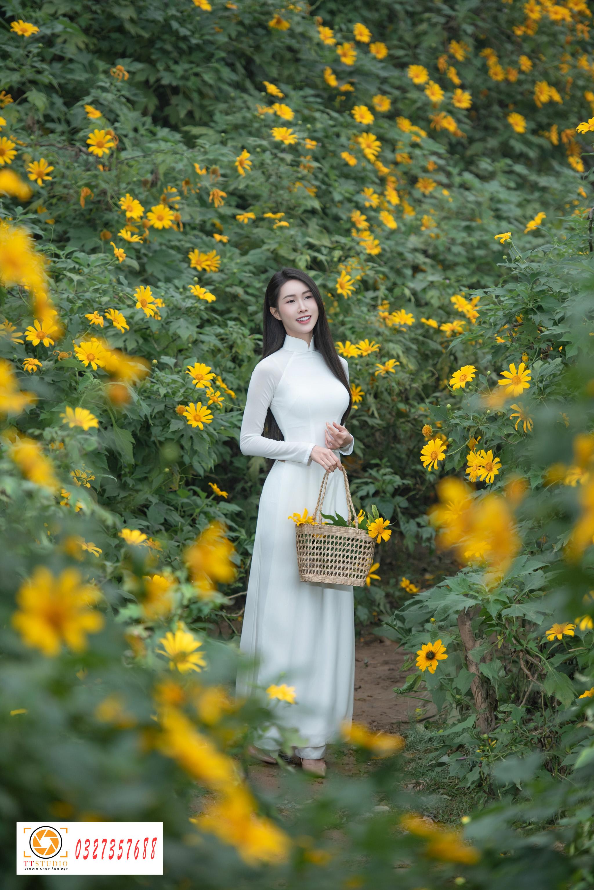 Ảnh áo dài với hoa dã quỳ