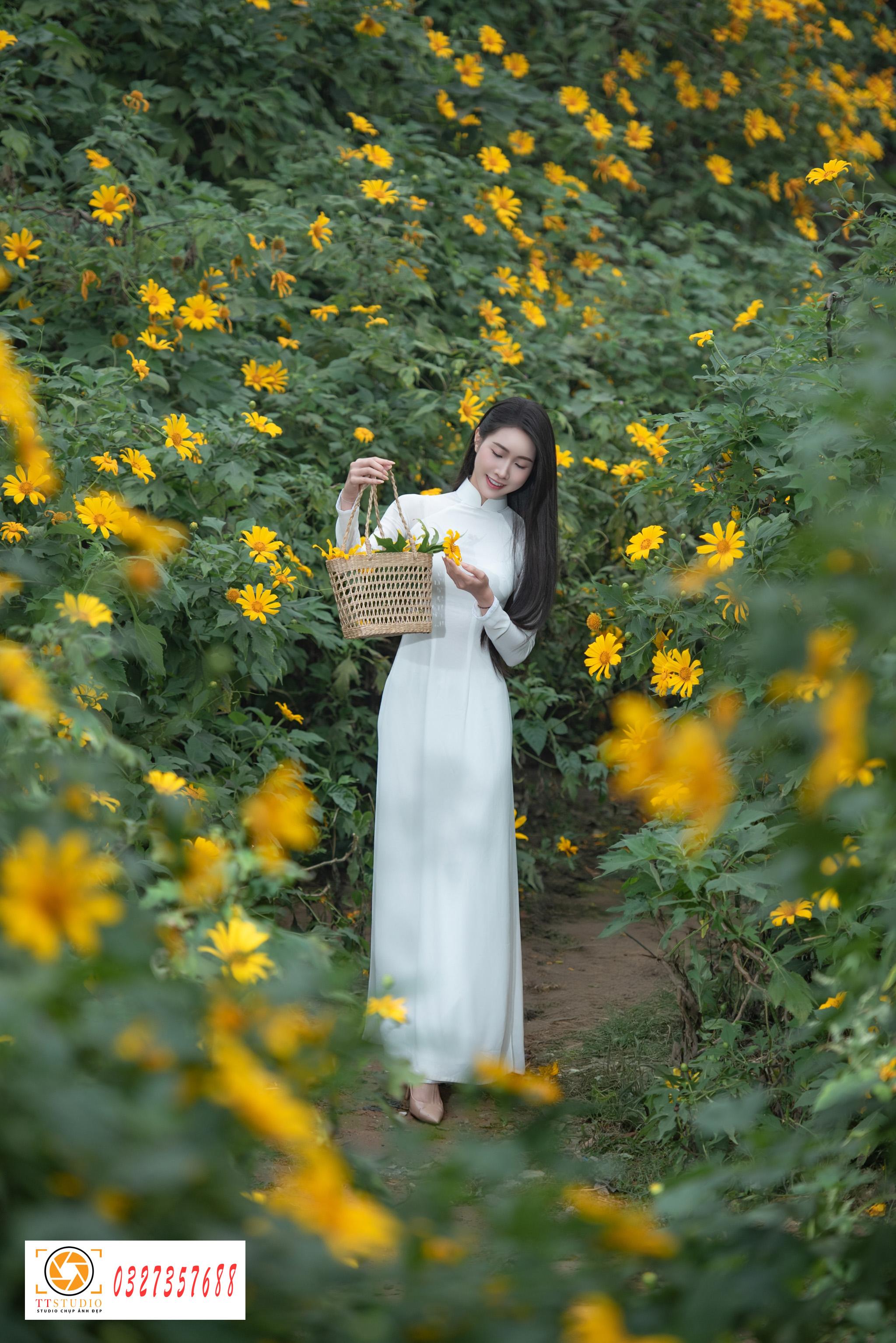 Ảnh áo dài với hoa dã quỳ