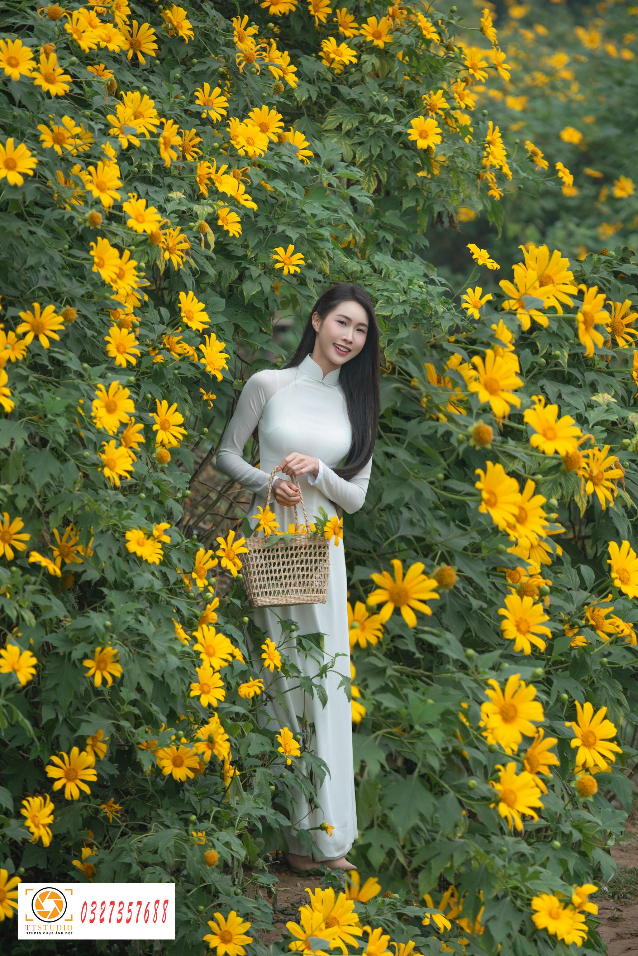 Ảnh áo dài với hoa dã quỳ