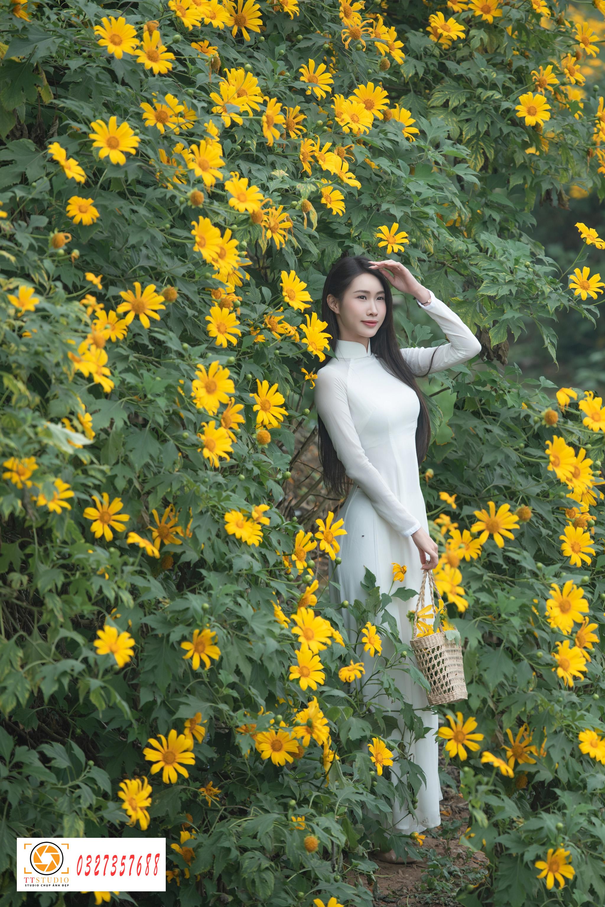 Ảnh áo dài với hoa dã quỳ