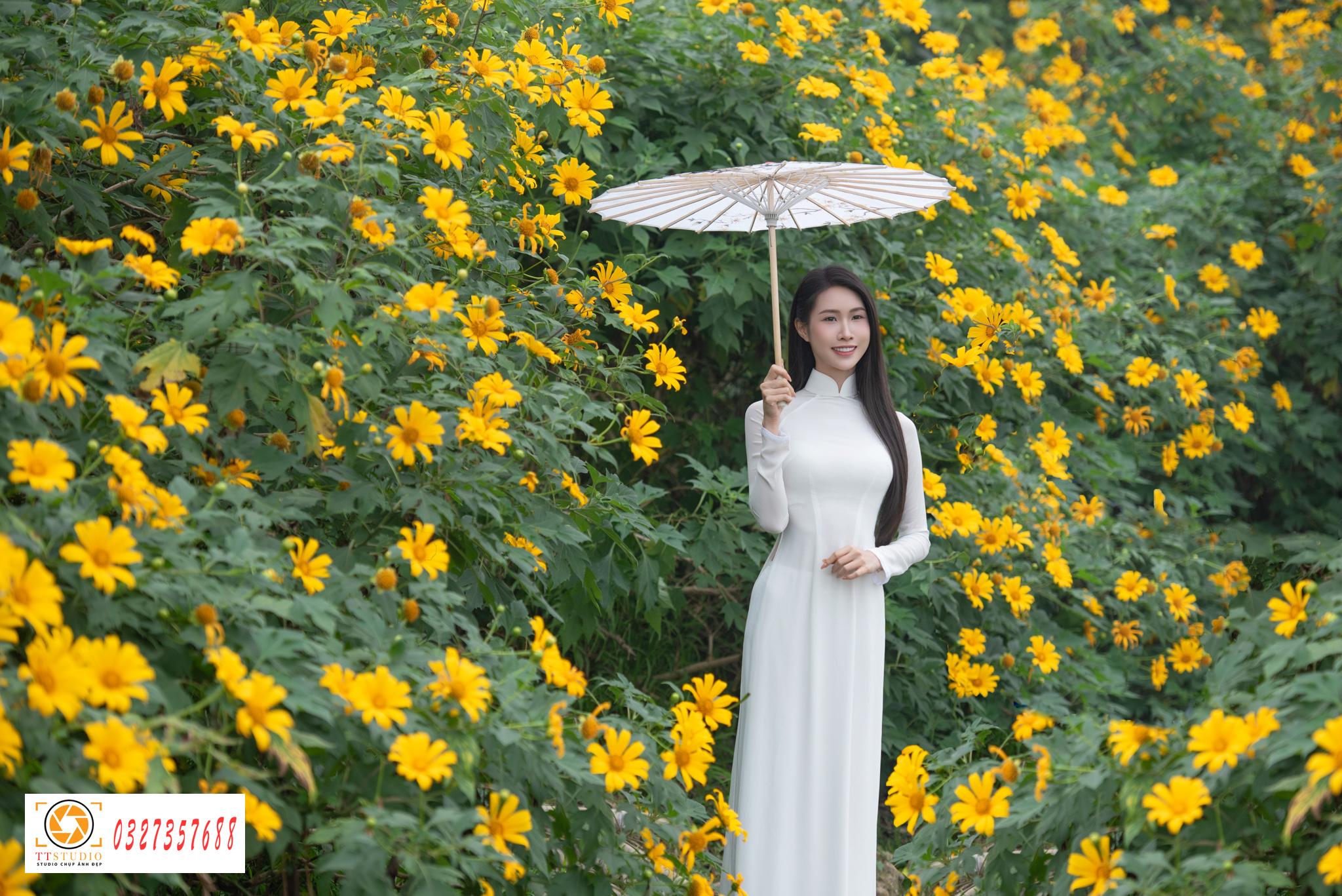 Ảnh áo dài với hoa dã quỳ