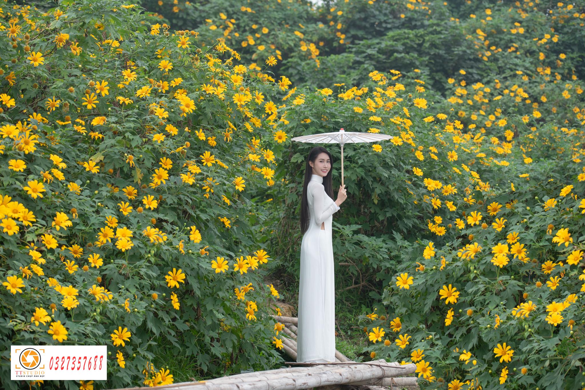Ảnh áo dài với hoa dã quỳ