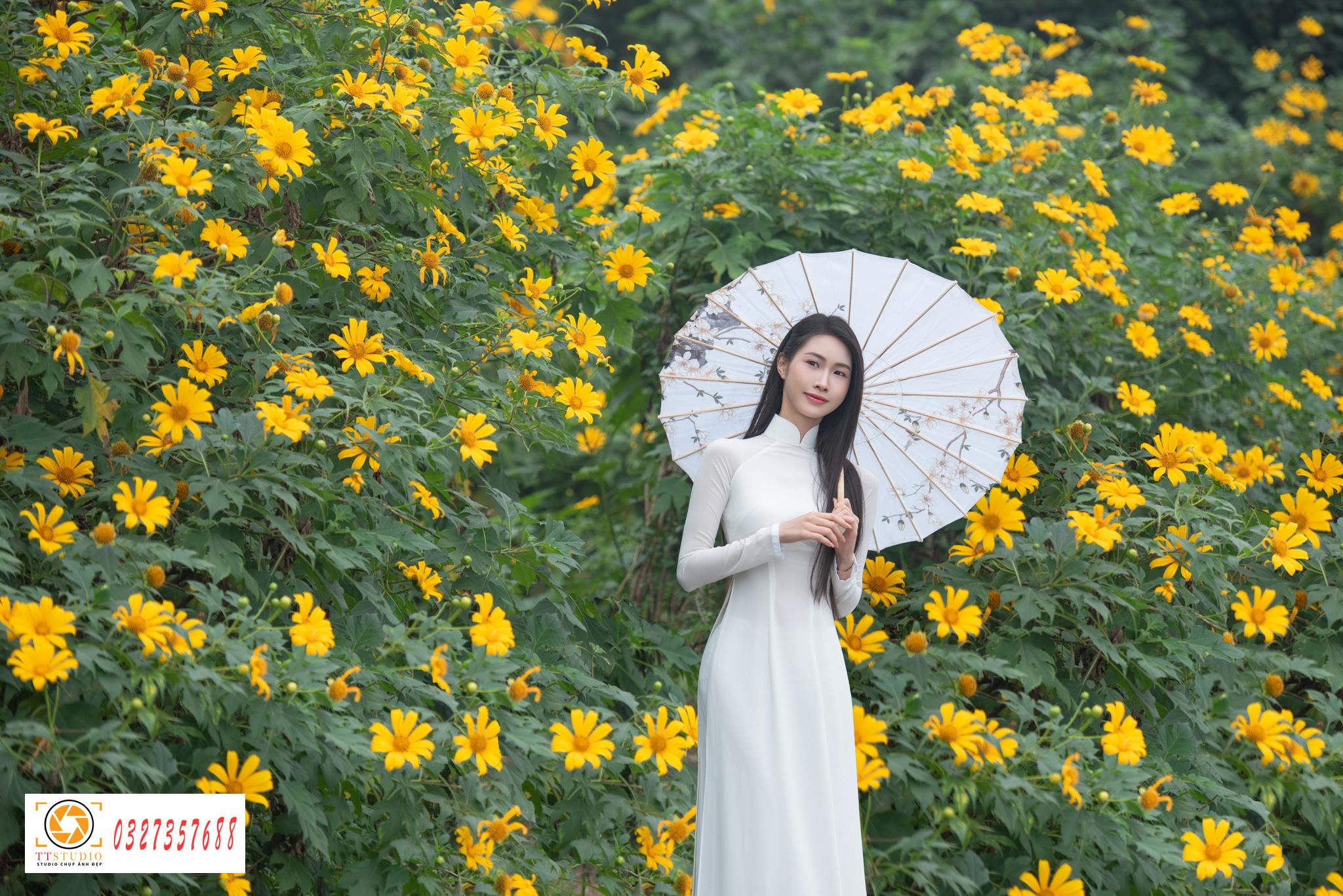 Ảnh áo dài với hoa dã quỳ