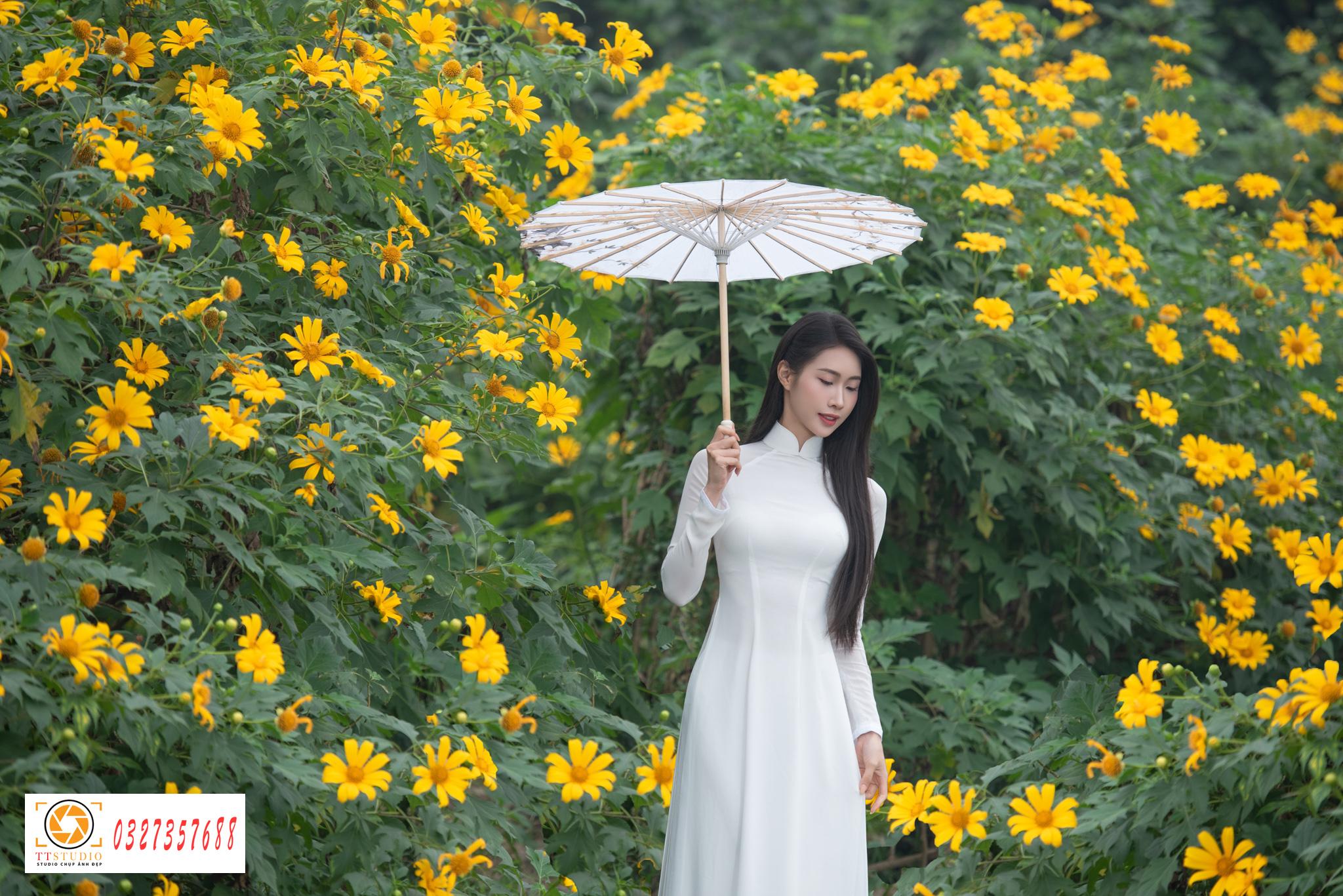 Ảnh áo dài với hoa dã quỳ