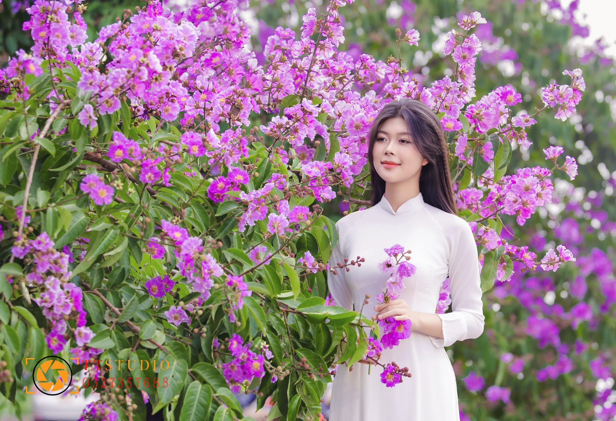 Địa điểm chụp ảnh hoa bằng lăng ở Hà Nội