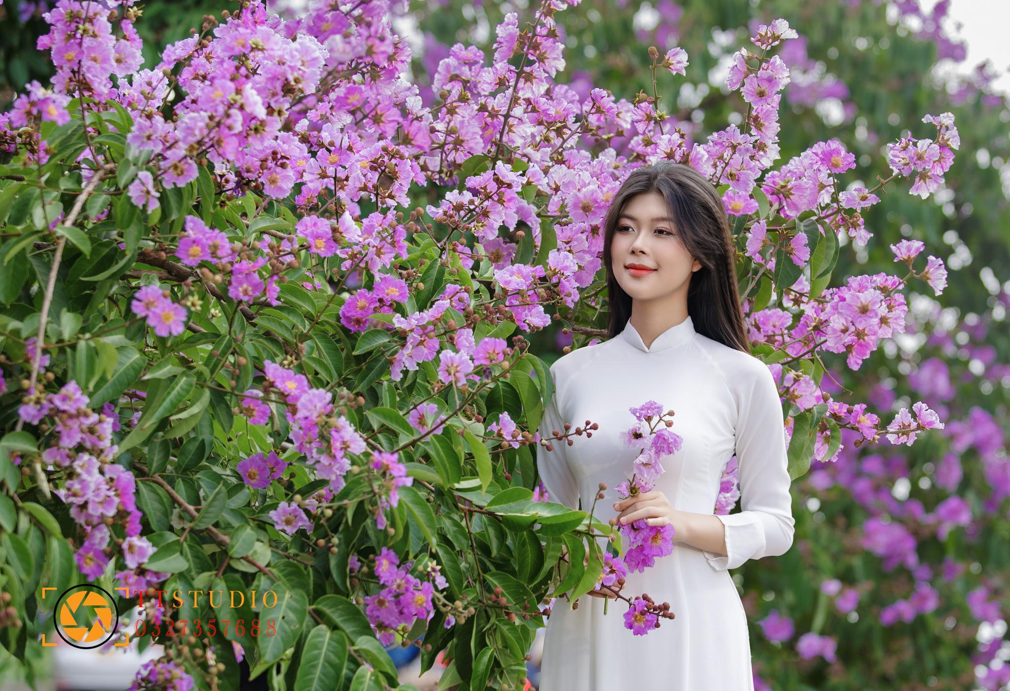 Địa điểm chụp ảnh hoa bằng lăng ở Hà Nội