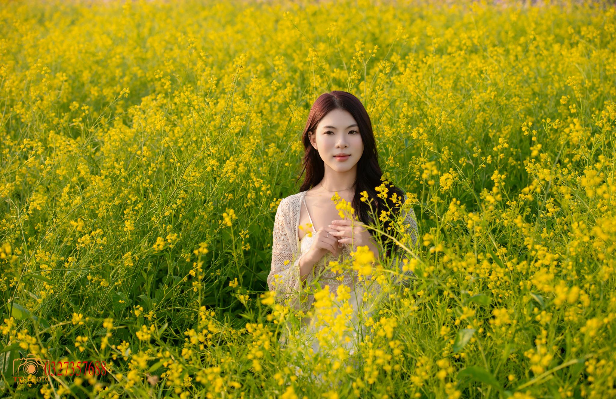 Chụp ảnh hoa cải