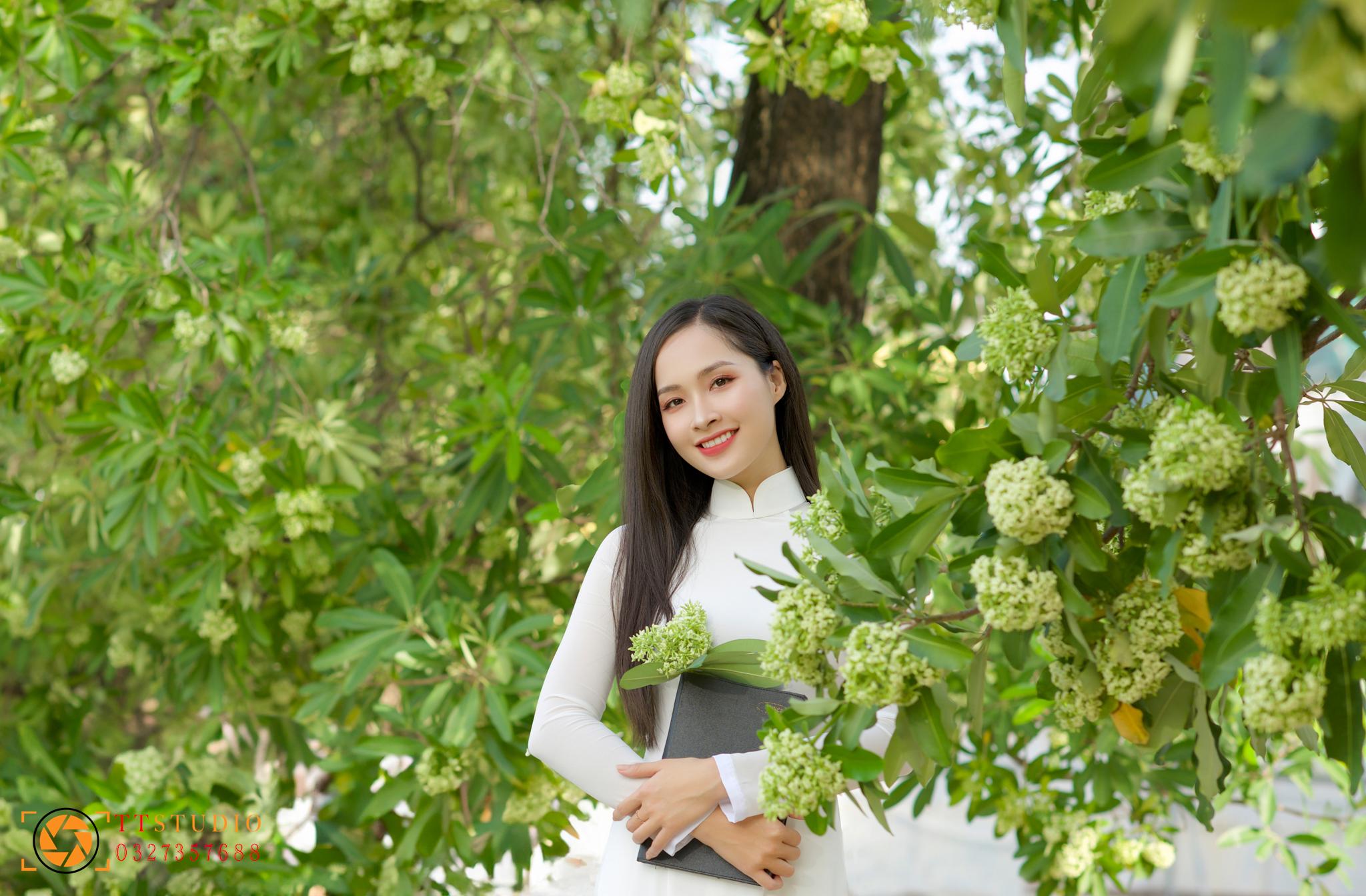 Hình ảnh hoa sữa mùa thu Hà Nội