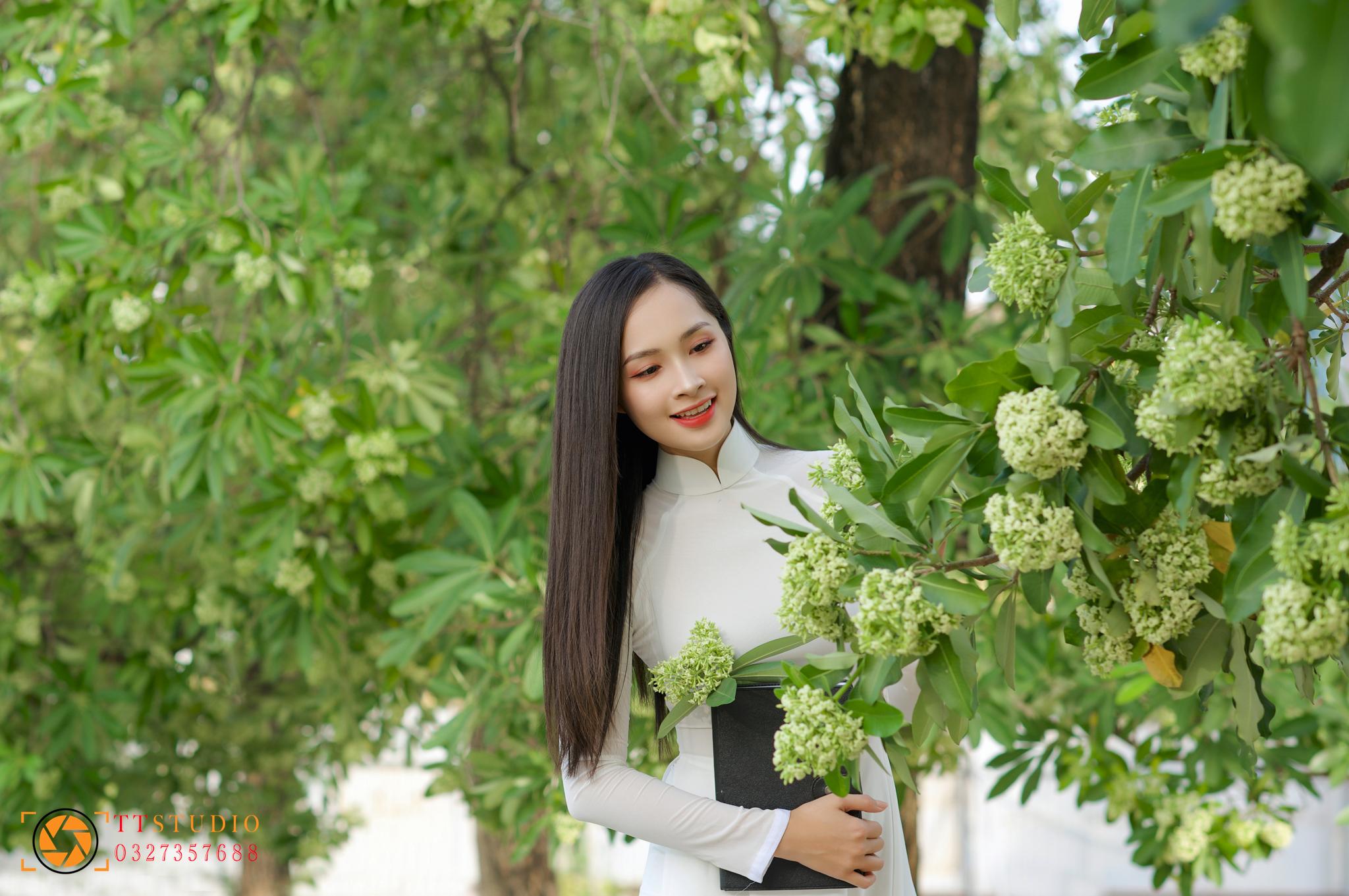 Hình hình ảnh hoa sữa ngày thu Hà Nội