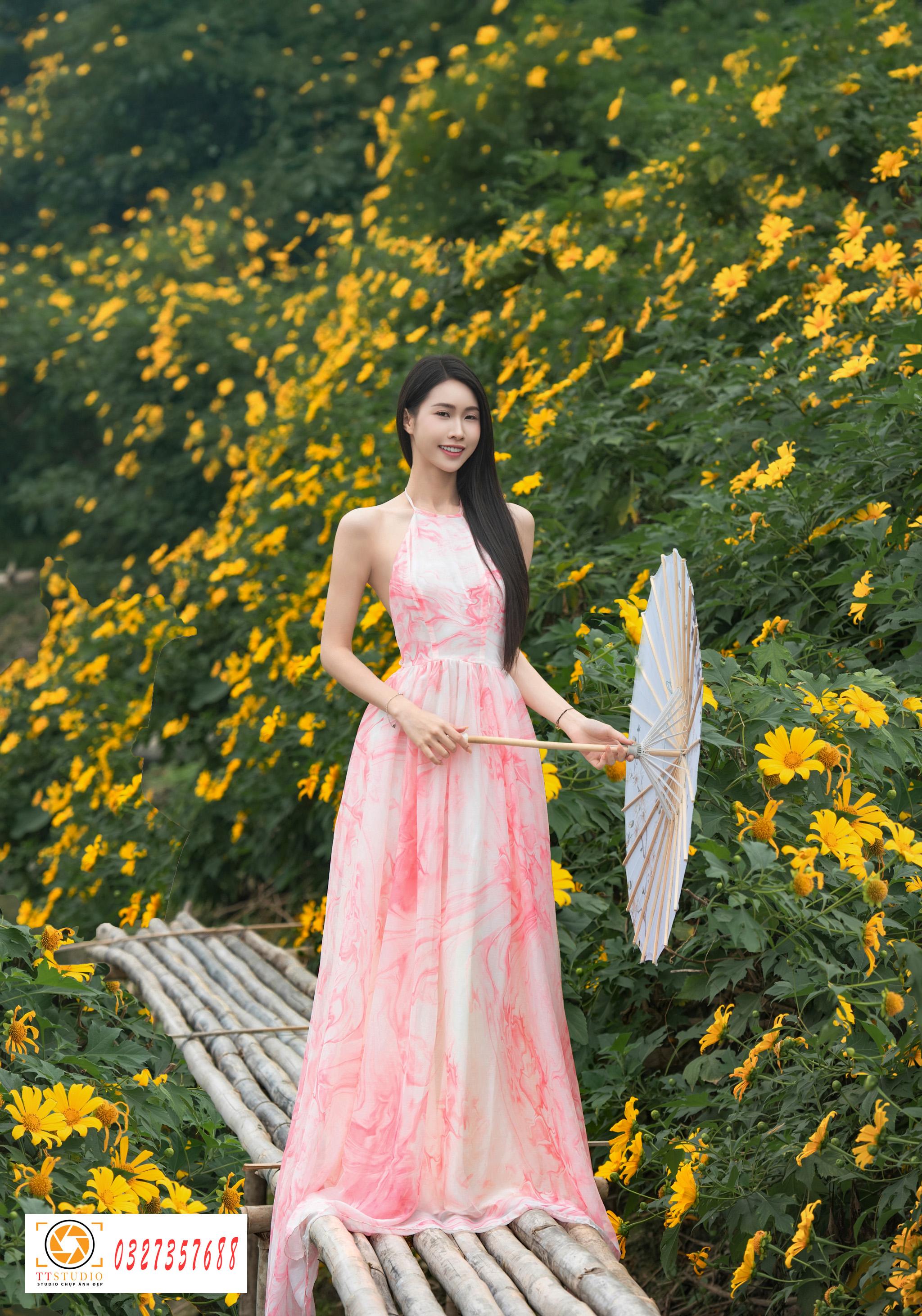 hoa dã quỳ đẹp