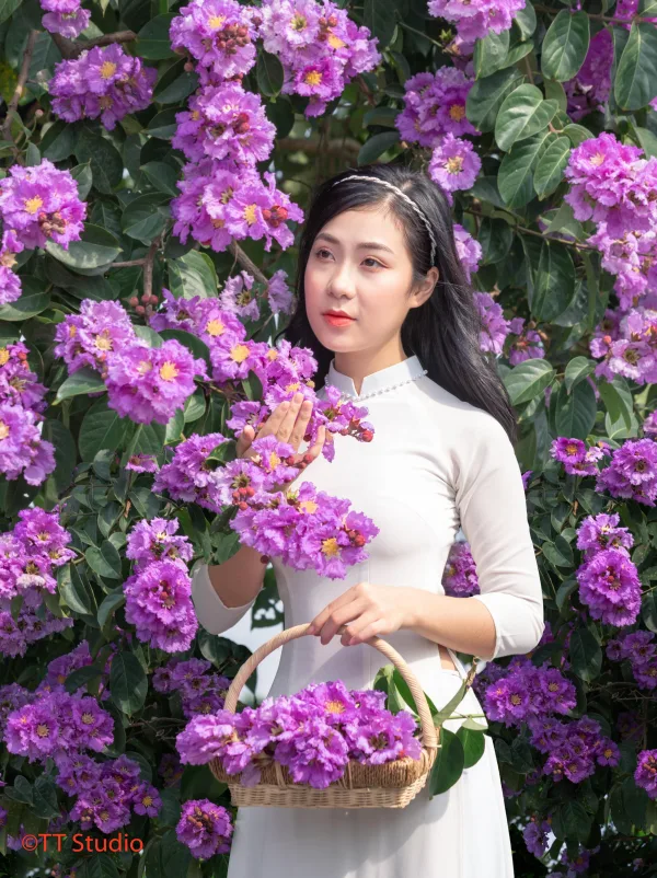 Chụp ảnh Hoa Bằng Lăng đẹp