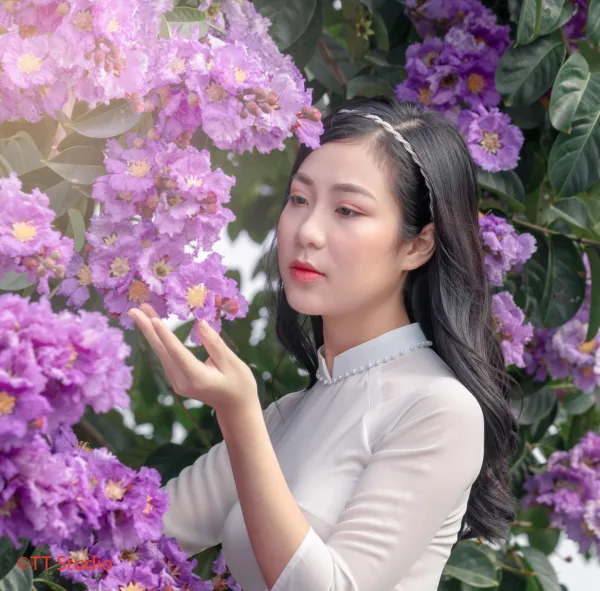Chụp ảnh Hoa Bằng Lăng đẹp