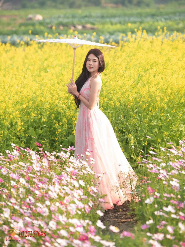 Ảnh hoa cải Cầu Long Biên
