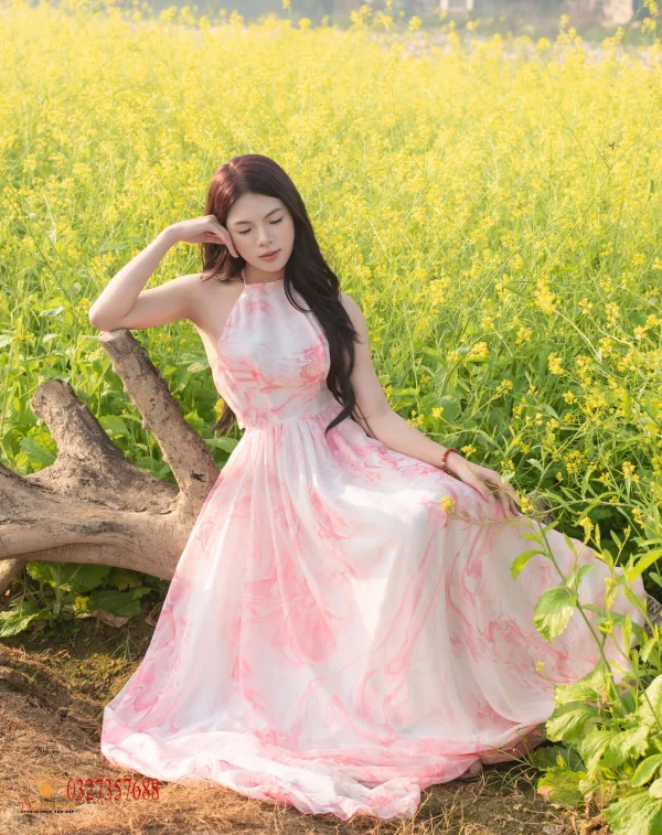 Ảnh hoa cải Cầu Long Biên