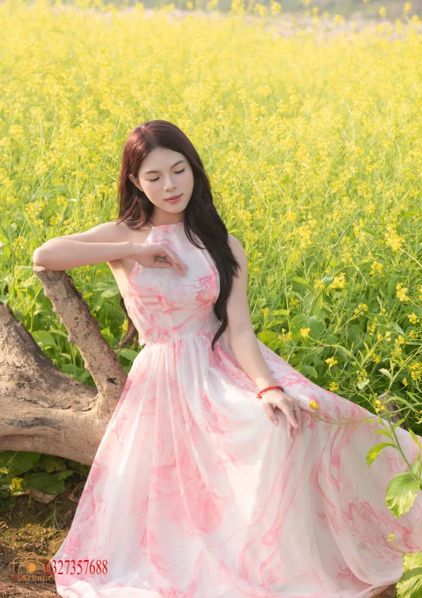 Ảnh hoa cải Cầu Long Biên