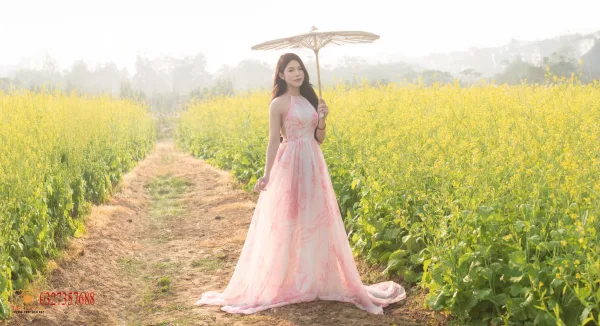 Ảnh hoa cải Cầu Long Biên