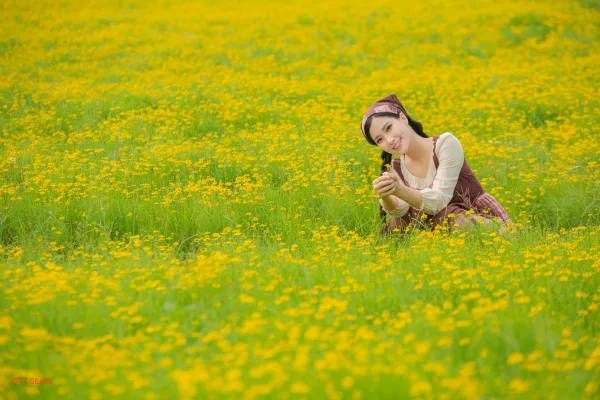 Hình Ảnh Hoa Vàng Mùa Thu Hà Nội