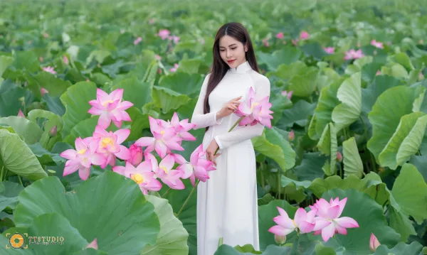 Ảnh sen với áo dài