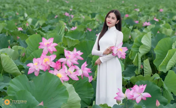 Ảnh sen với áo dài