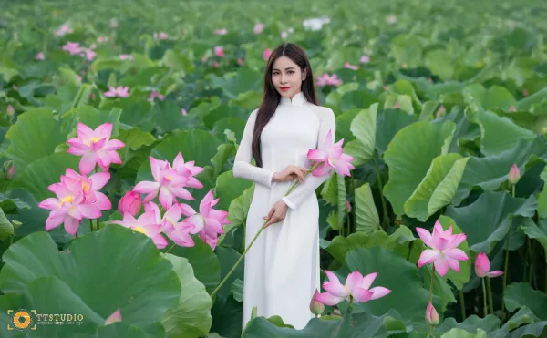 Ảnh sen với áo dài