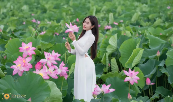 Ảnh sen với áo dài