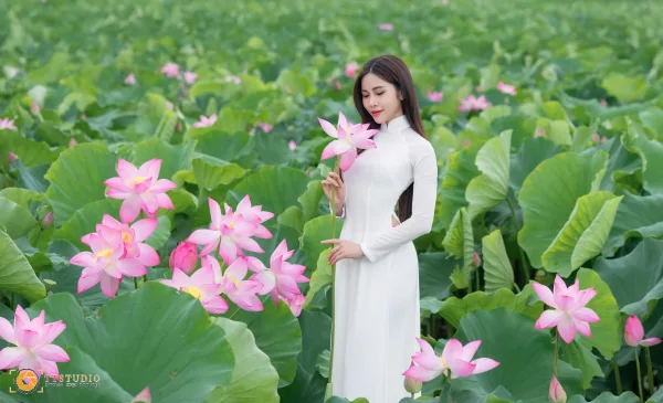 Ảnh sen với áo dài