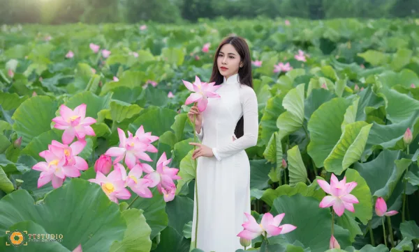 Ảnh sen với áo dài