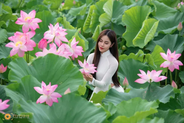 Ảnh sen với áo dài