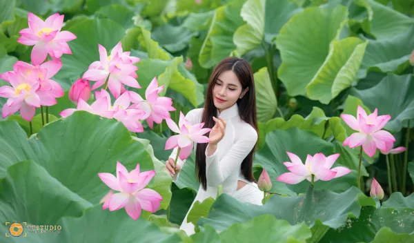 Ảnh sen với áo dài