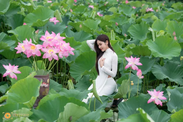 Ảnh album