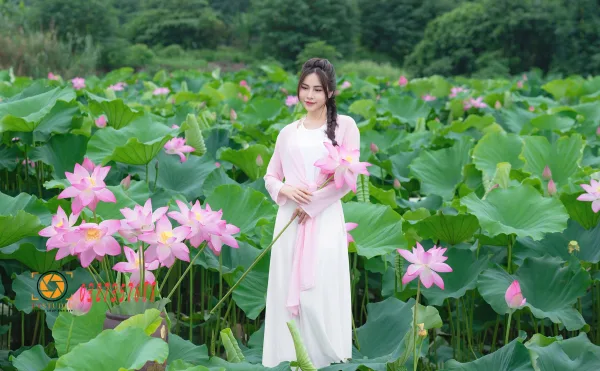 Ảnh sen với áo dài tứ thân