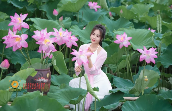 Ảnh sen với áo dài tứ thân