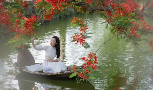Ảnh Hoa Phượng